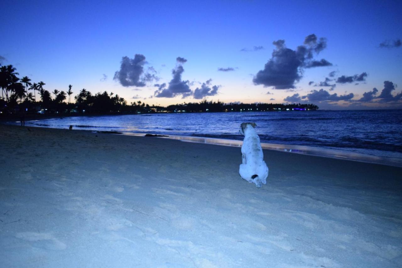 La Dolce Vita Beachfront Hotels, Las Terrenas, Samana Kültér fotó